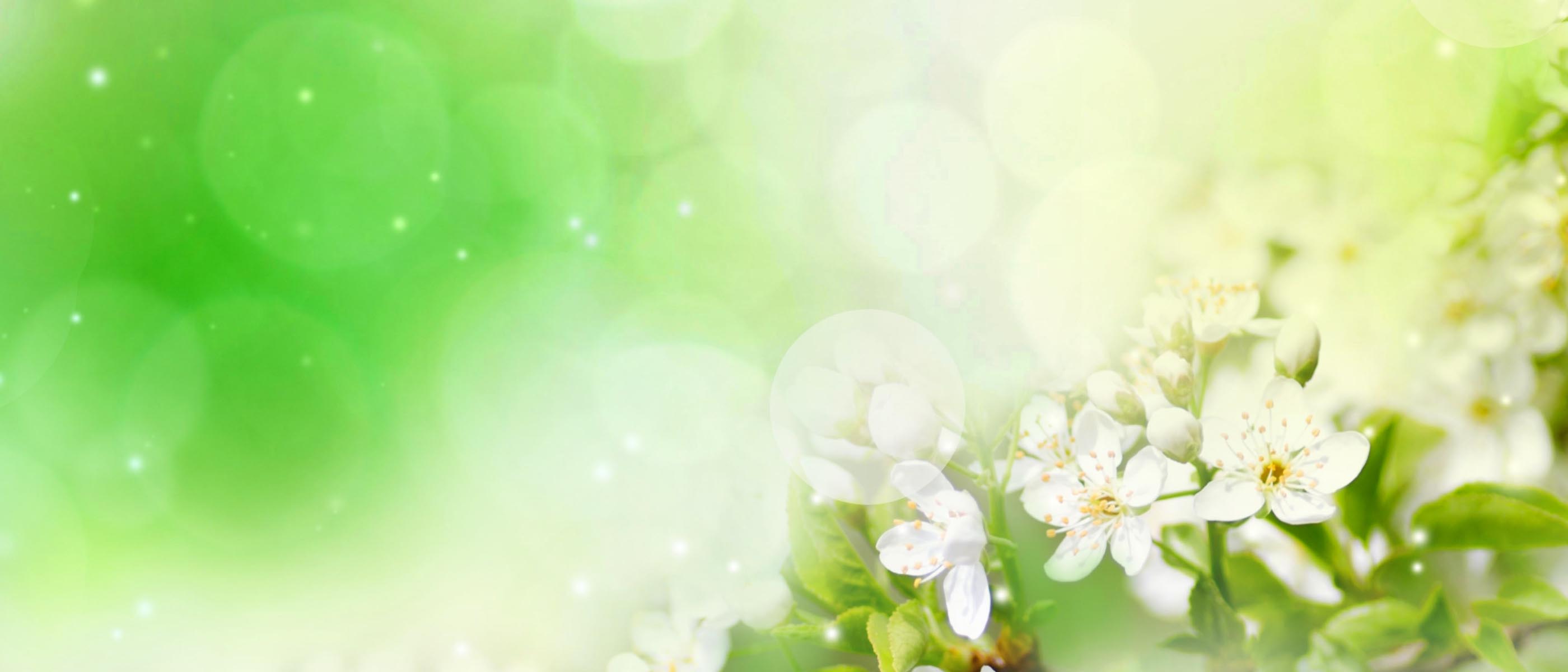 Rainbow Drops Tournament background